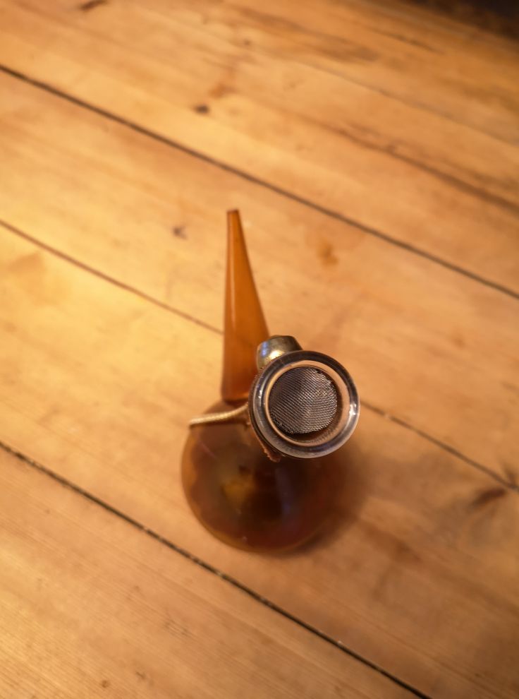 Leopold von Sacher-Masoch